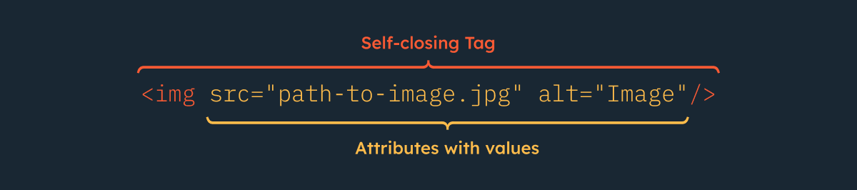 The anatomy of a self closing HTML Tag (Ex: Image Tag)