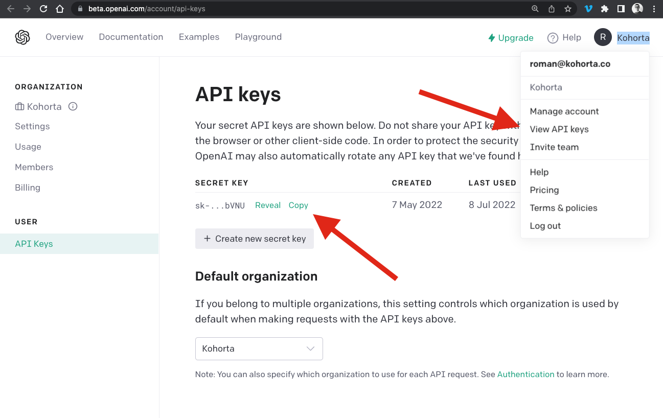 Screenshot of API Keys