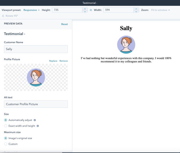 Module Preview Example Module Preview Example