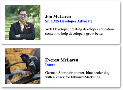 Screenshot of webcomponent which resembles a business card with image on left text on right stating the persons name.