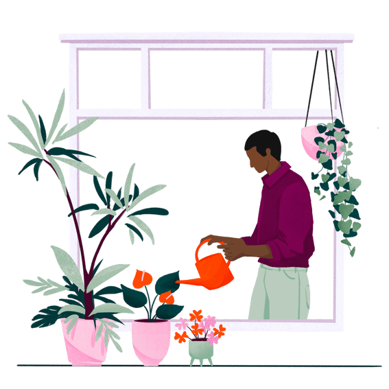 Growth_Illustrations_Color_LightBG