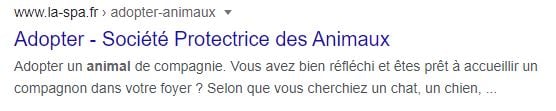 résultat de recherche google SPA