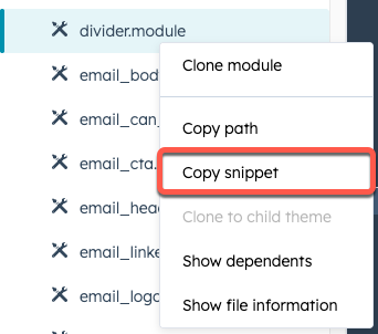 Screenshot of hte copy snippet option in the design manager